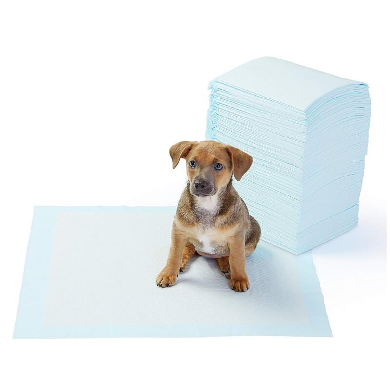 Amazon Basics Regular Pet Dog and Puppy Training Pads – Pack of 100