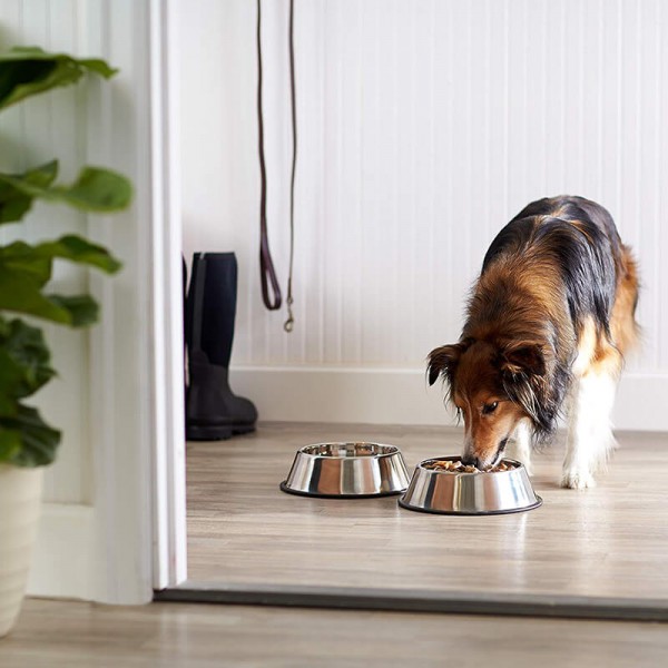 Stainless-Steel-Pet-Dog-Water-And-Food-Bowl