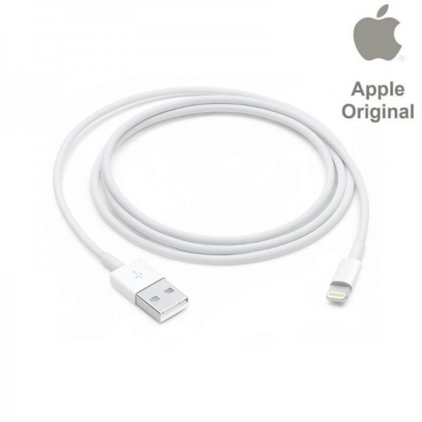 Apple Lightning to USB Charging Cable