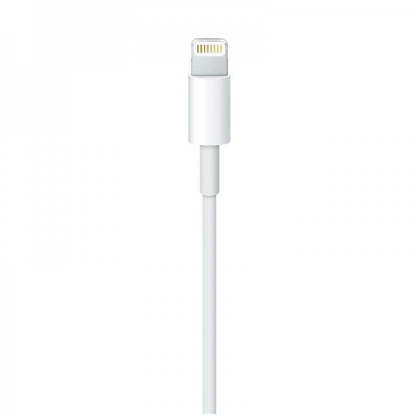 Apple Lightning to USB Charging Cable