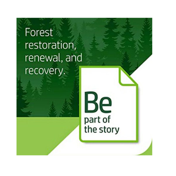 Forest restoration