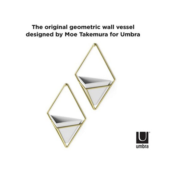 Umbra Trigg Hanging Planter & Geometric Wall Decor