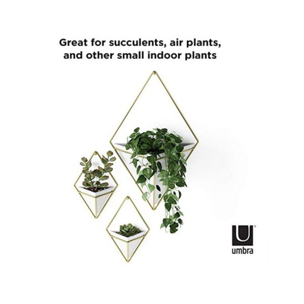 Umbra Trigg Hanging Planter & Geometric Wall Decor White Ceramic Brass