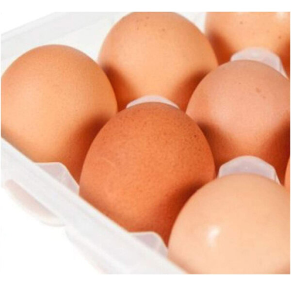 Lock & Lock Egg Container Holds 18