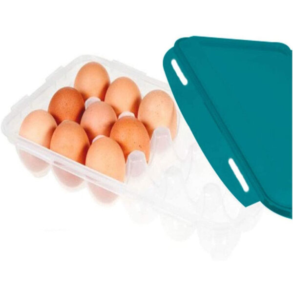 Lock & Lock Egg Container Holds 18 Teal