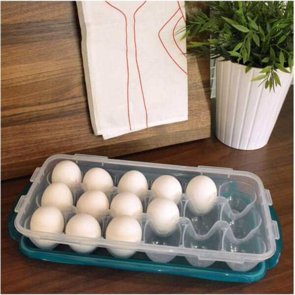 Lock & Lock Egg Container Holds Teal Lid