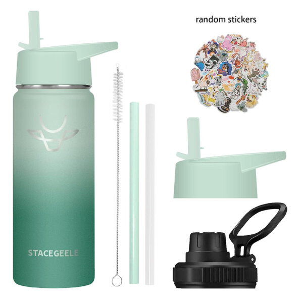 STACEGEELE Insulated Vacuum Water Bottle for Kids