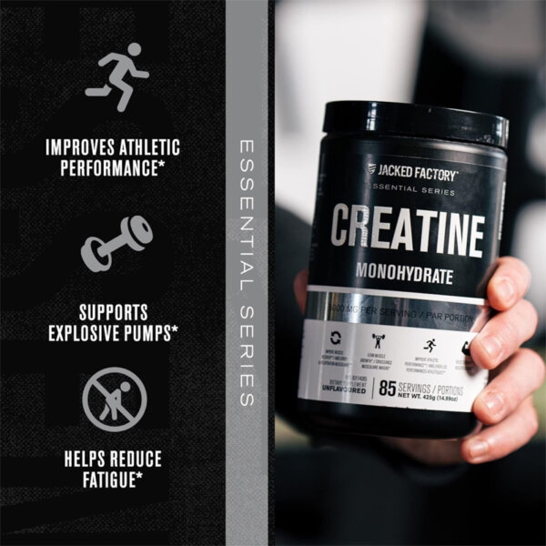 Creatine Monohydrate Powder 425g Creatine Supplement for Muscle Growth