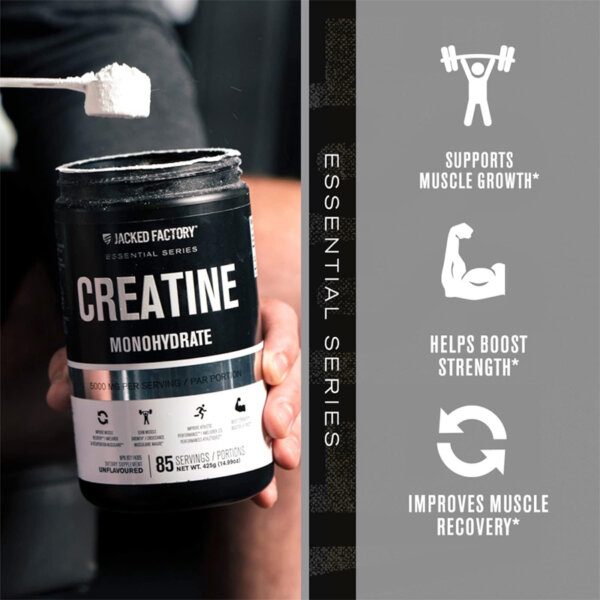 Creatine Monohydrate Powder 425g - Creatine Supplement for Muscle Growth