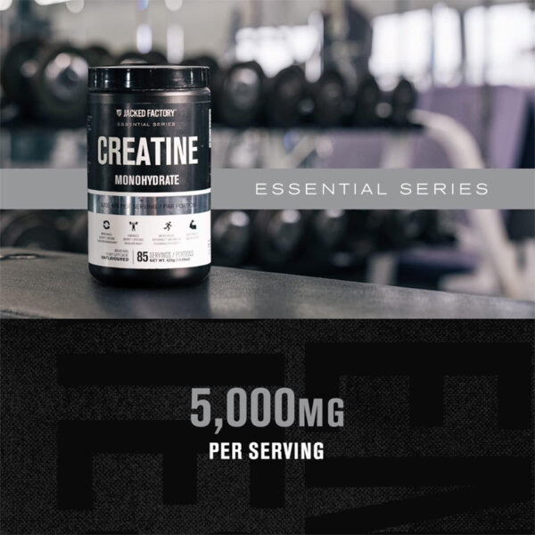 Creatine Monohydrate Powder 425g Creatine Supplement for Muscle Growth Increased Strength